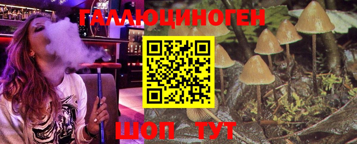 Галлюциногенные грибы Psilocybine cubensis  Вход с VPN  Псилоцибиновые грибы Magic Shrooms  Вязьма 
